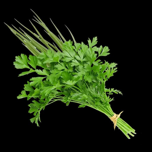 CHEIRO VERDE UN