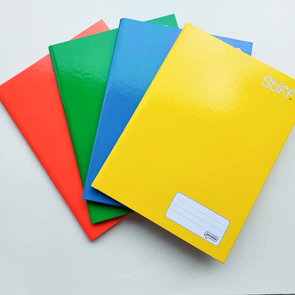 CADERNO BROCHURINHA JANDAIA 96FLS