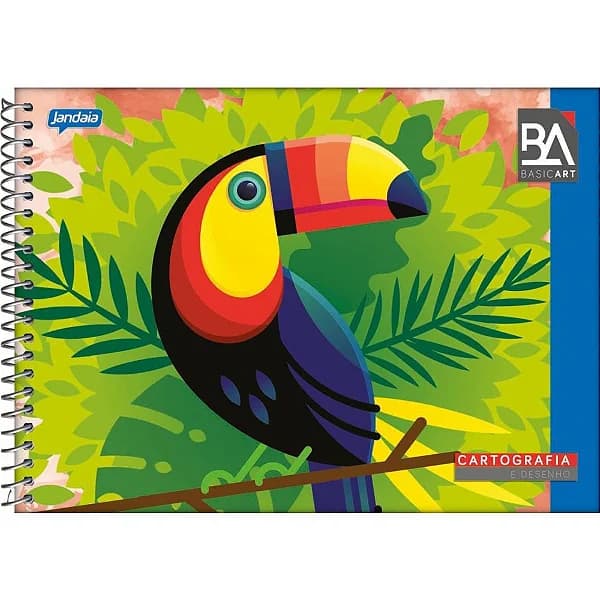 CADERNO DESENHO JANDAIA 48FLS