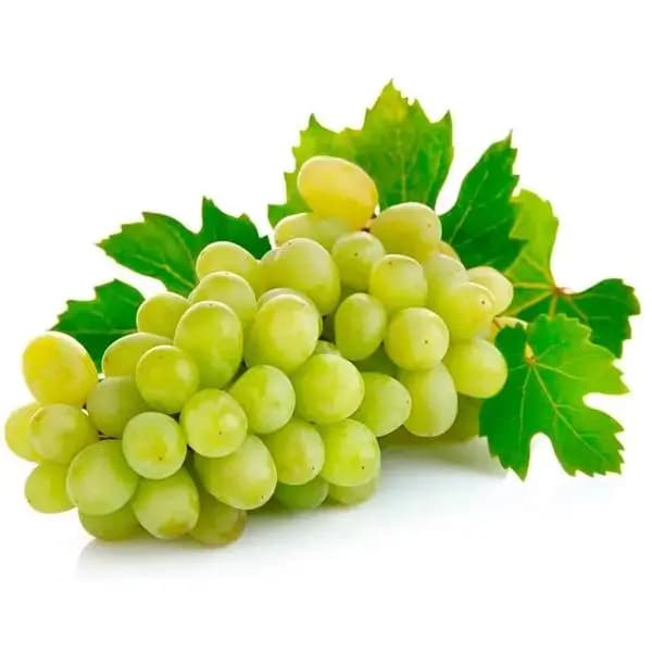 UVA ITALIA RIBER 500G