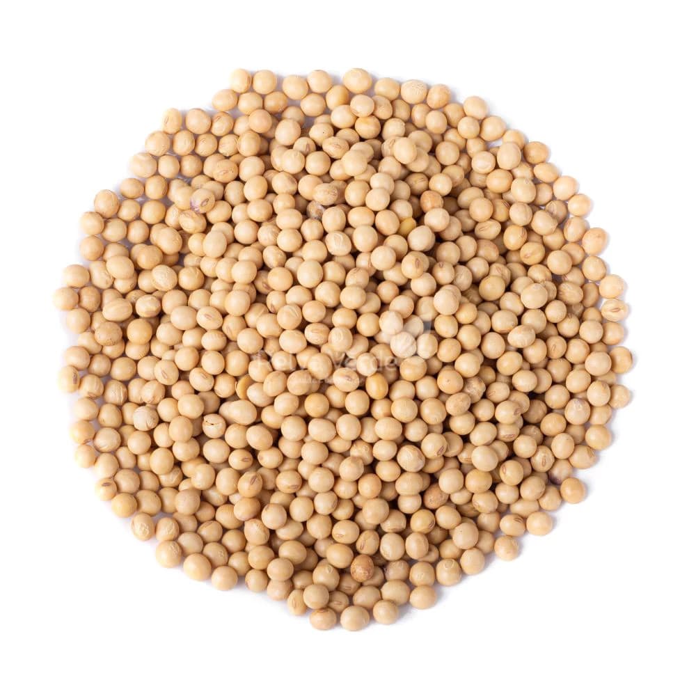 SOJA EM GRAO TRIVIAL 500G