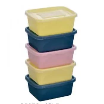 KIT BACIAS ORGANIZA JAGUAR RET NUDE C5PCS