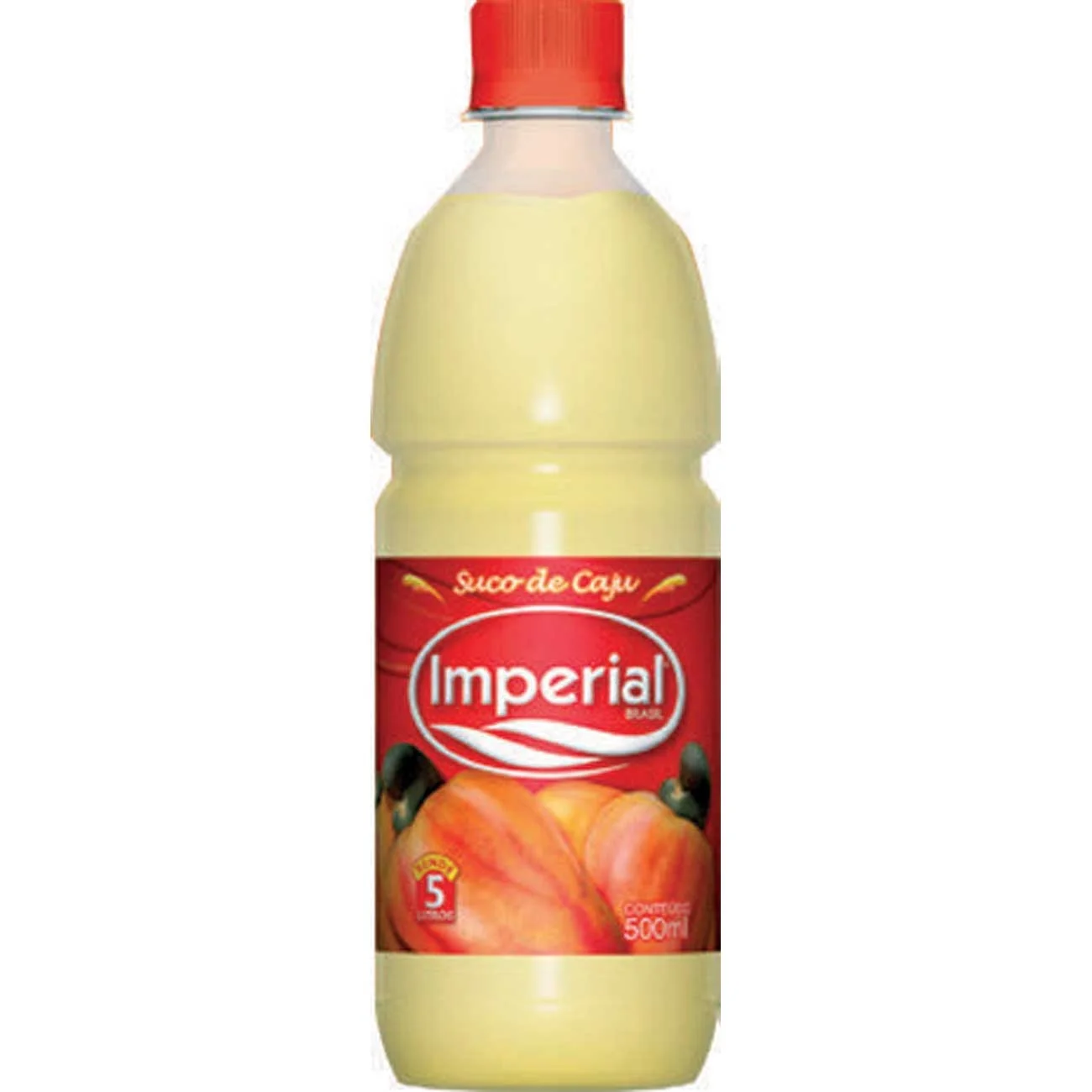 SUCO CONC SERIGY 500ML CAJU