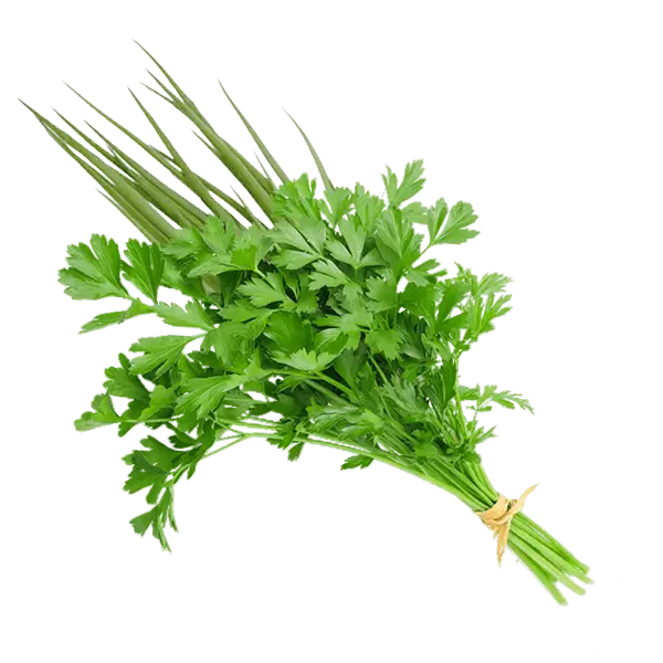 CHEIRO VERDE UN